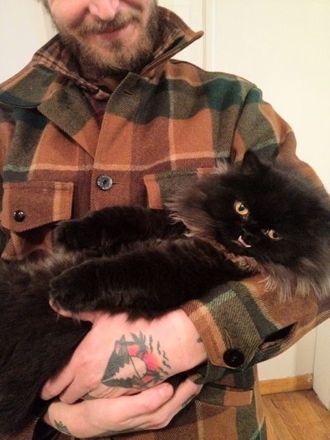 rescue-cat-princess-monster-truck-5 rescue-cat-princess-monster-truck-5