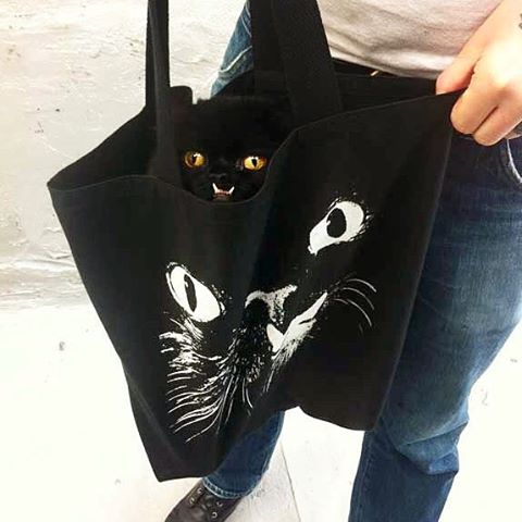 rescue-cat-princess-monster-truck-8 rescue-cat-princess-monster-truck-8