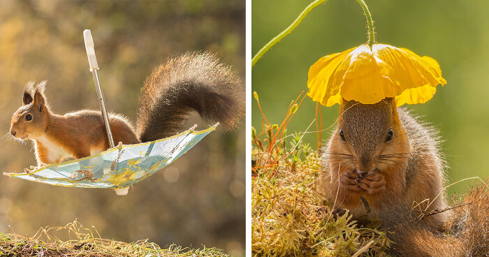 I Shoot Squirrels In My Backyard, And I Can Almost Make A Living From What I Love