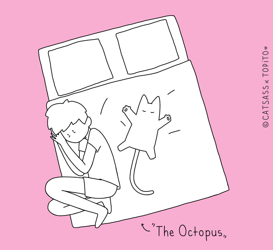 The Octopus