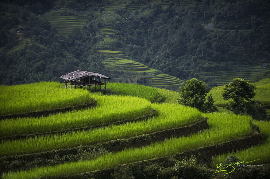 The Mesmerizing Beauty Of Vietnam By Nguyen Vu Phuoc