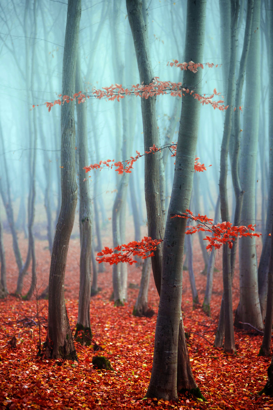 Waking Up At 7 AM On A Saturday Morning Was Worth It Waking Up At 7 AM On A Saturday Morning Was Worth It