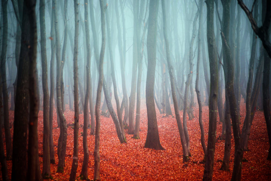 Waking Up At 7 AM On A Saturday Morning Was Worth It Waking Up At 7 AM On A Saturday Morning Was Worth It