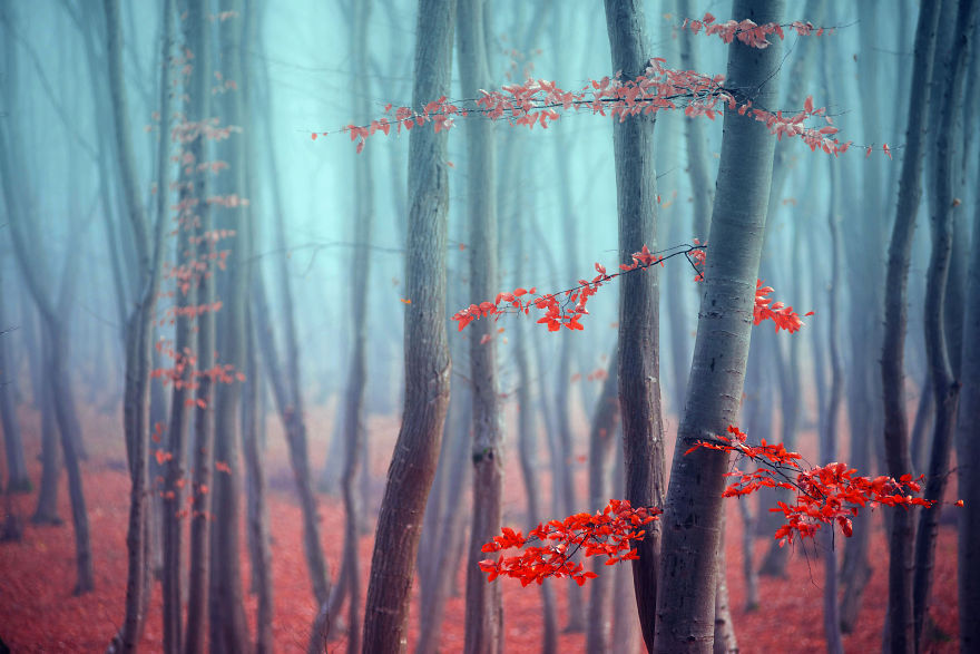 Waking Up At 7 AM On A Saturday Morning Was Worth It Waking Up At 7 AM On A Saturday Morning Was Worth It