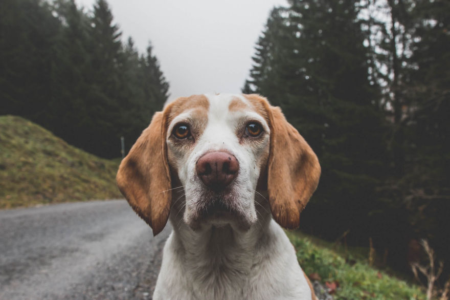 Why I Love Switzerland