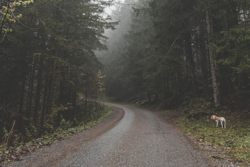 Why I Love Switzerland