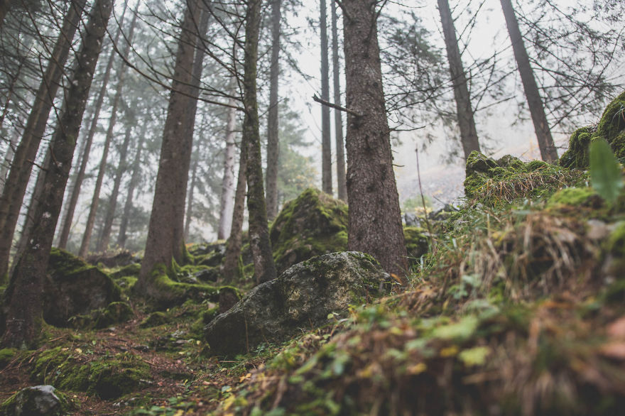 Why I Love Switzerland