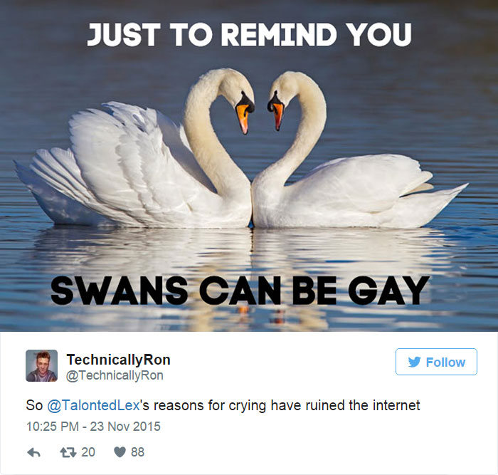 wife-cries-anything-husband-lists-reasons-aaron-gillies-10