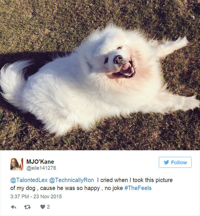 wife-cries-anything-husband-lists-reasons-aaron-gillies-3