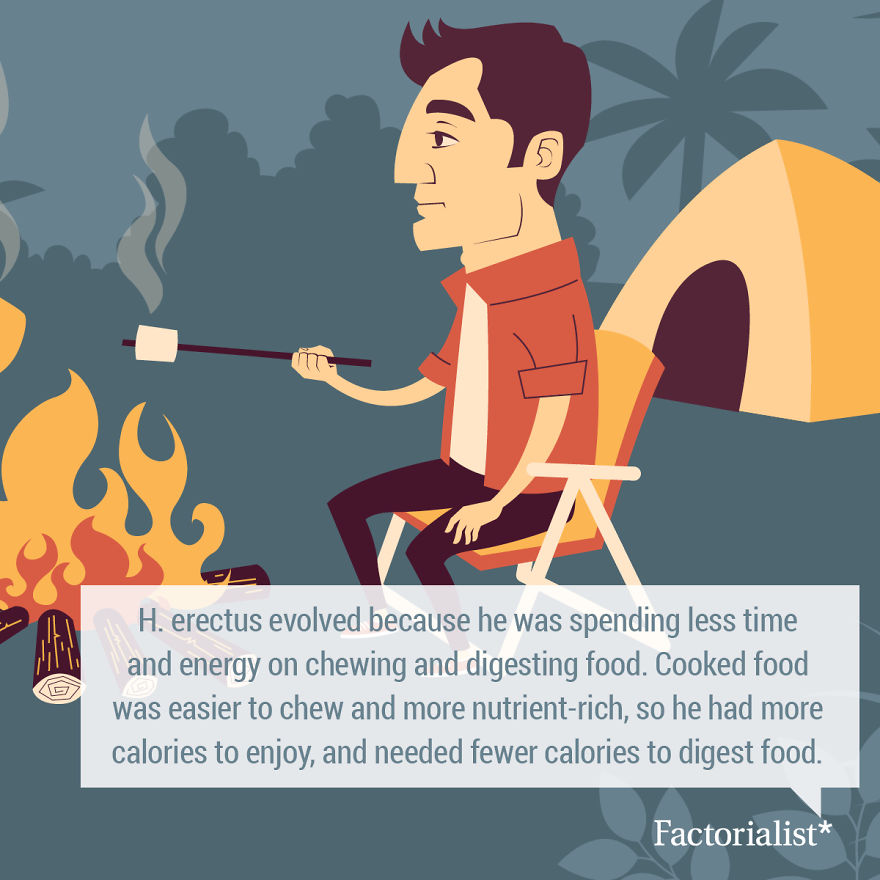 Delicious Food Facts