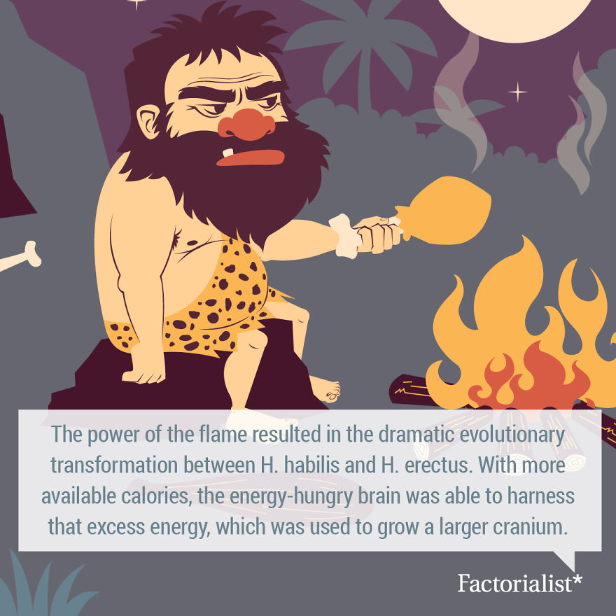 Delicious Food Facts