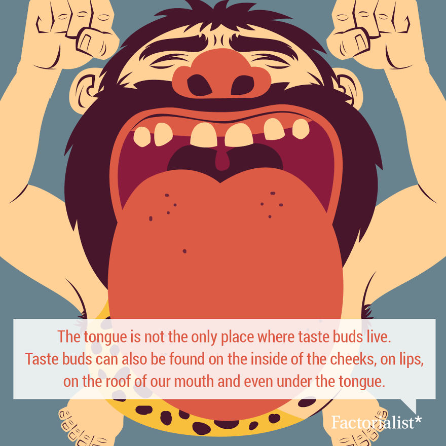 Delicious Food Facts