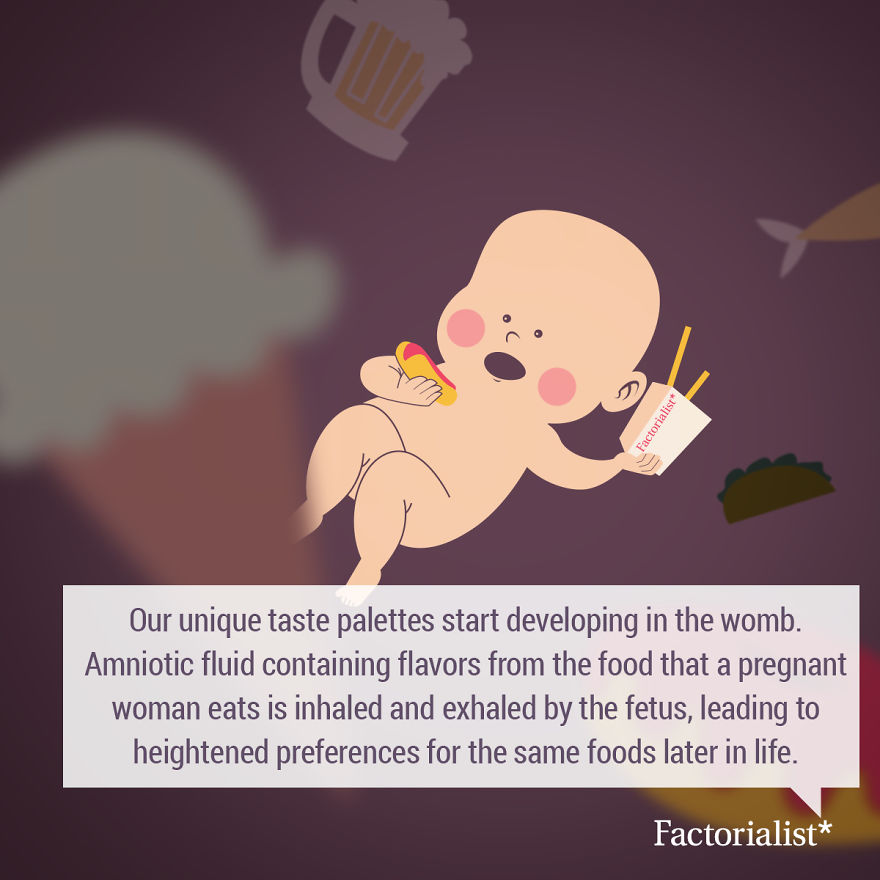 Delicious Food Facts