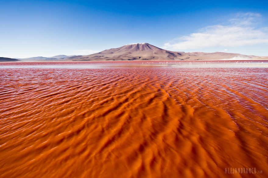 Laguna Colorada, Bolivia