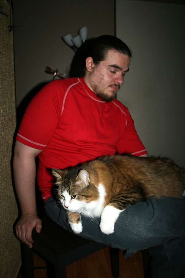 Man in a red shirt sitting with a large Maine C**n cat resting comfortably on his lap indoors.