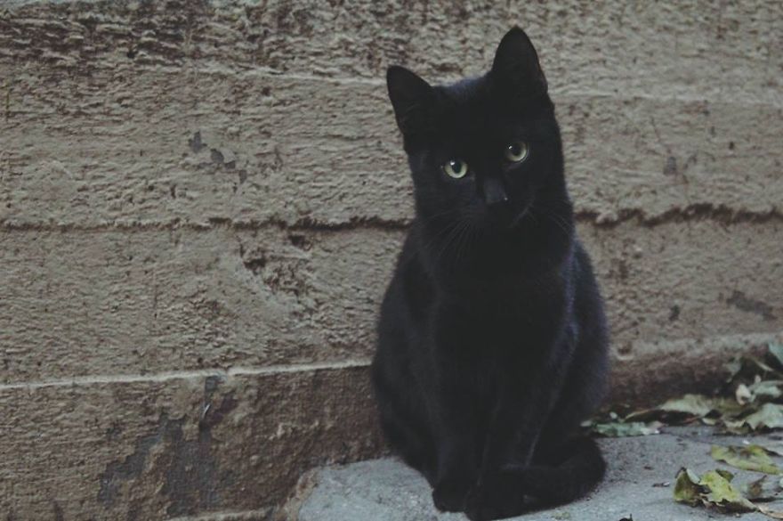 Vasilena Ivanova Photography