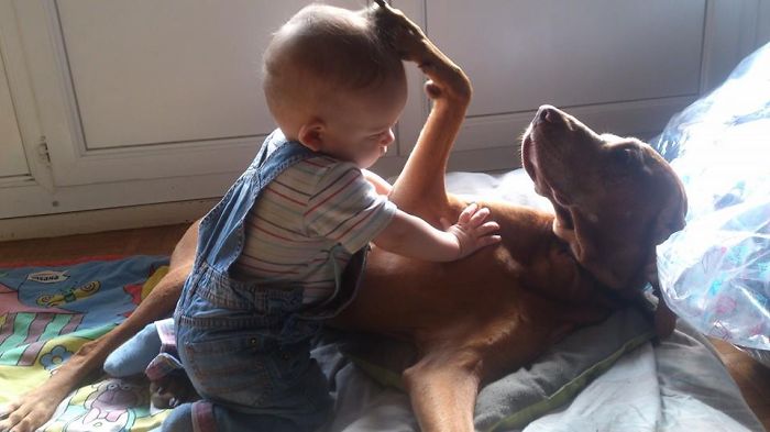 Best Friends & Brothers