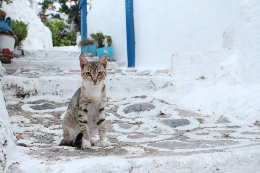 Vasilena Ivanova Photography