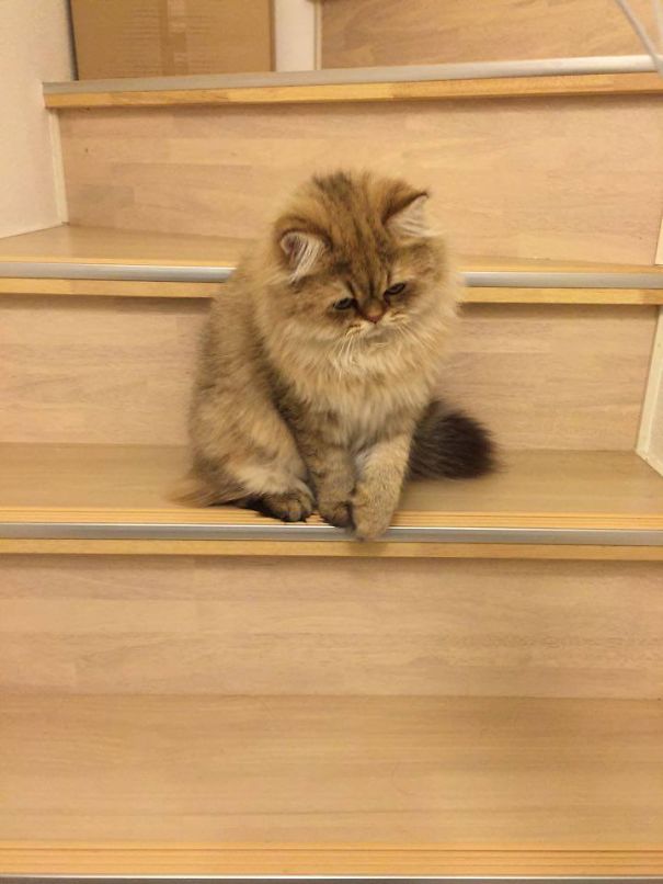 What Are You Considering?