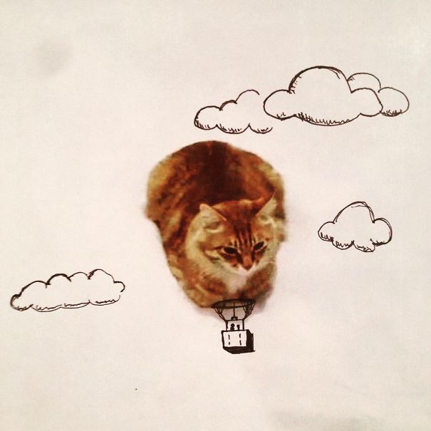 Honeymoon Cat Air Balloon