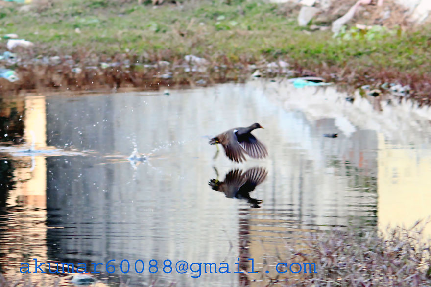 1st Photo With My Dslr