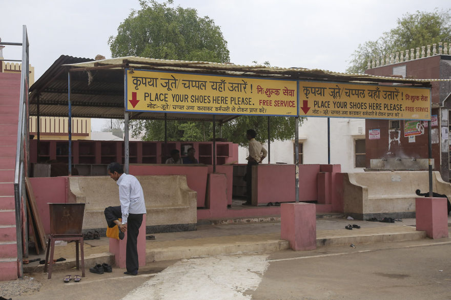 20,000 Rats Temple In India That I Visited Despite My Hygiene Worries 20,000 Rats Temple In India That I Visited Despite My Hygiene Worries