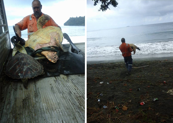 Man Buys Turtles From Food Market And Releases Them Back To The Sea