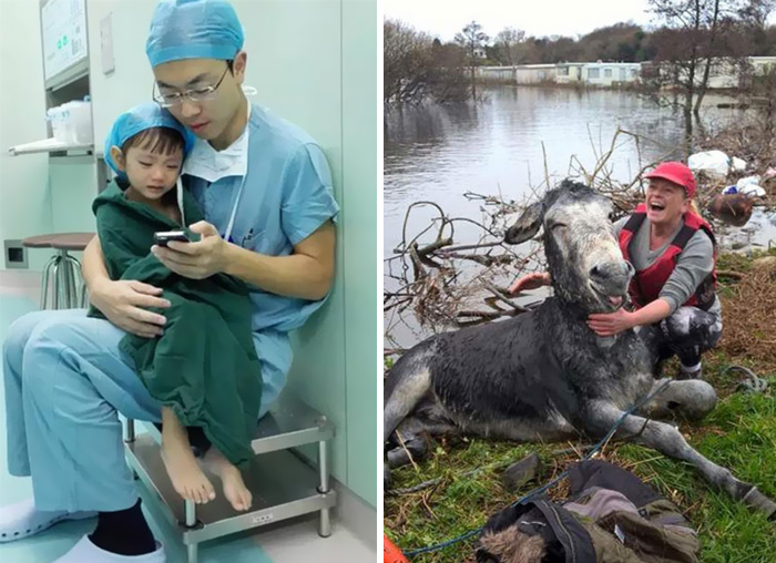 80 Photos That Prove 2015 Wasn’t The Worst Year After All