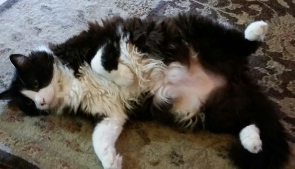 Live For Belly Rubbins.