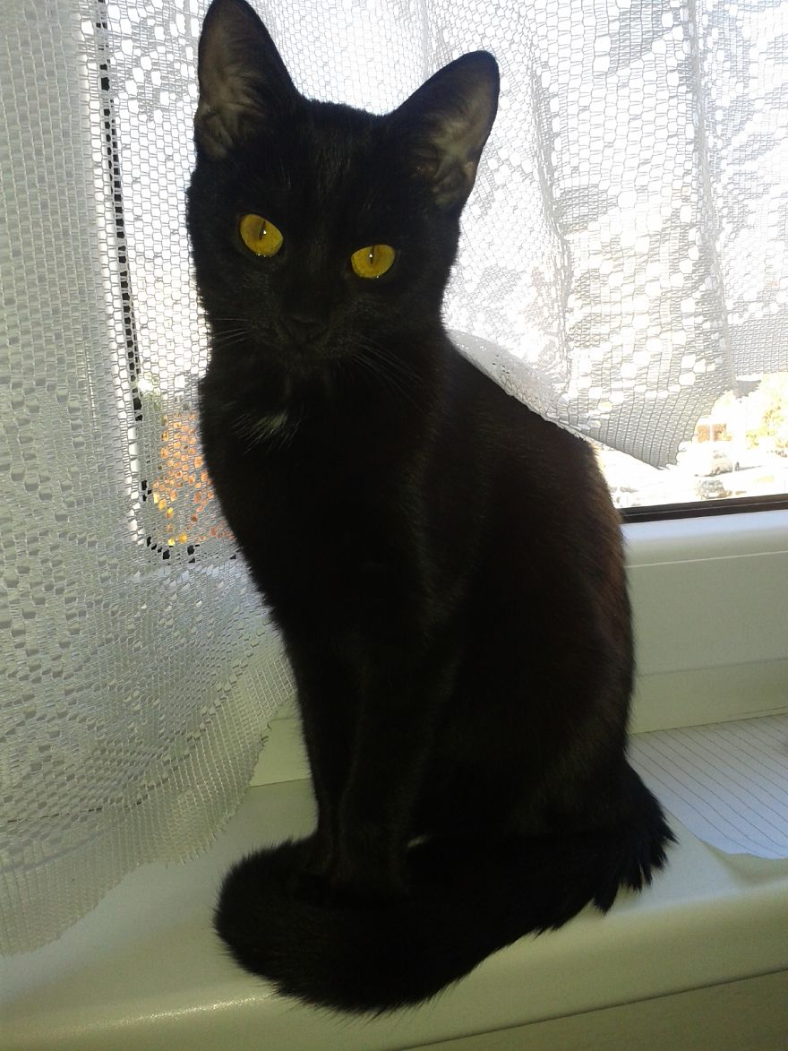 Chiquitta - Little Devil :)