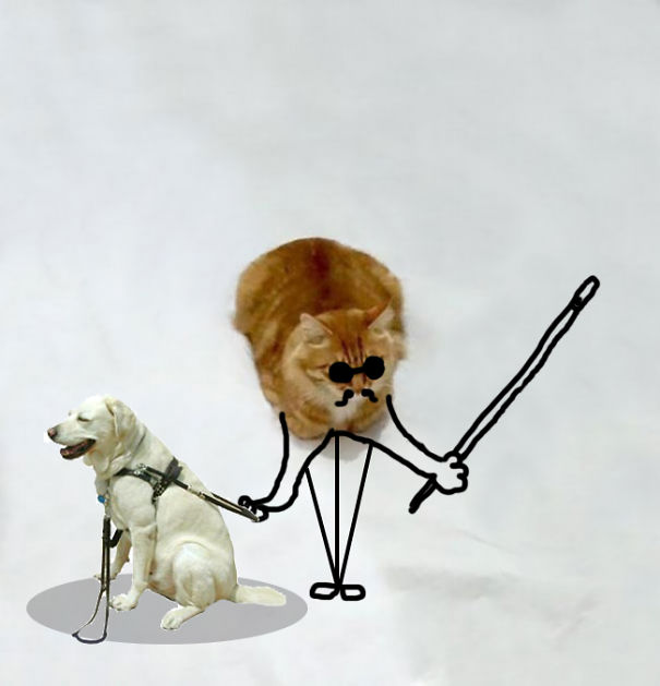 Let's Go To The Party?!