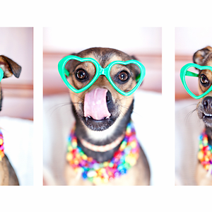 walmiedzeszynski avatar