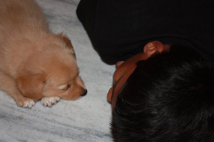 Akash And His Pup