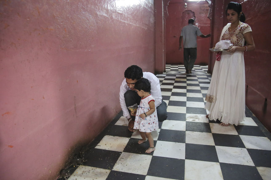 20,000 Rats Temple In India That I Visited Despite My Hygiene Worries 20,000 Rats Temple In India That I Visited Despite My Hygiene Worries