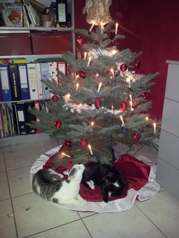 Better Than Presents Under The Tree