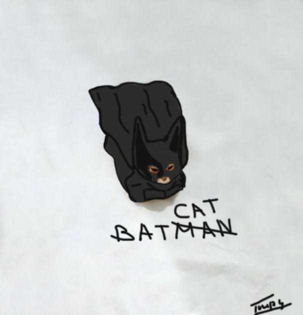 Batcat