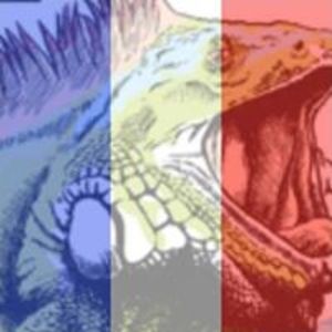 lesliesokolow avatar