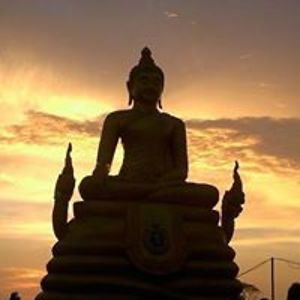 gillan_monica avatar