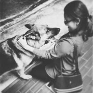 kirubasshiniseluarazel avatar