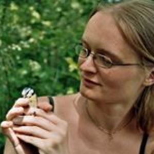 cembaloingrid avatar