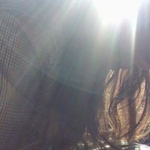 avanix_boston avatar