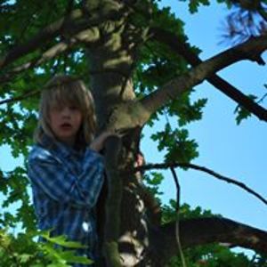 william_eriksson avatar