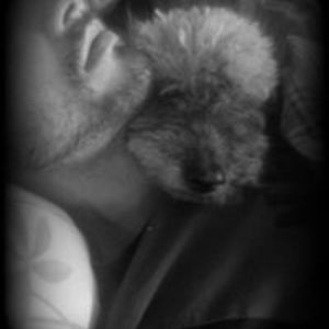 seby_joker2002 avatar