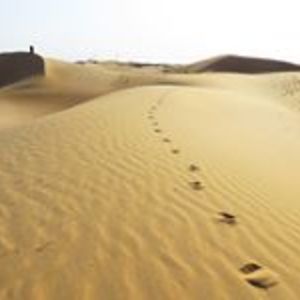 trance_energy666 avatar