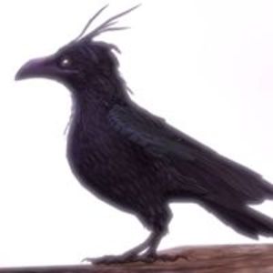 superduckywho avatar