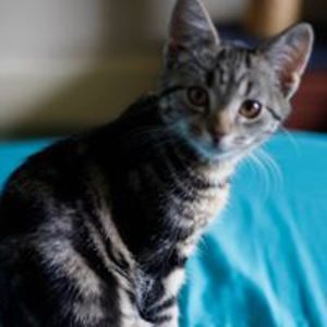 pianoanna_pianna avatar