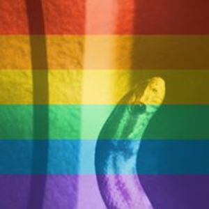 dalton_peters avatar