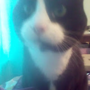 jadynsiegrist avatar