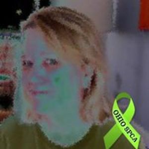 seejanedesign1 avatar