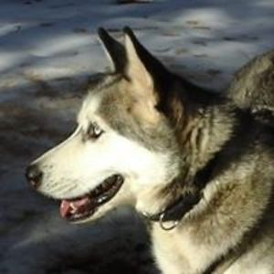 lindagriggs_2nd avatar